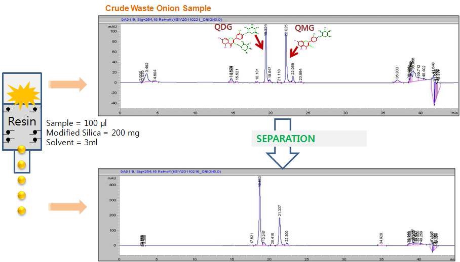 그림 21. 비상품 양파 추출물의 New Resin을 이용한 유용성분의 분리