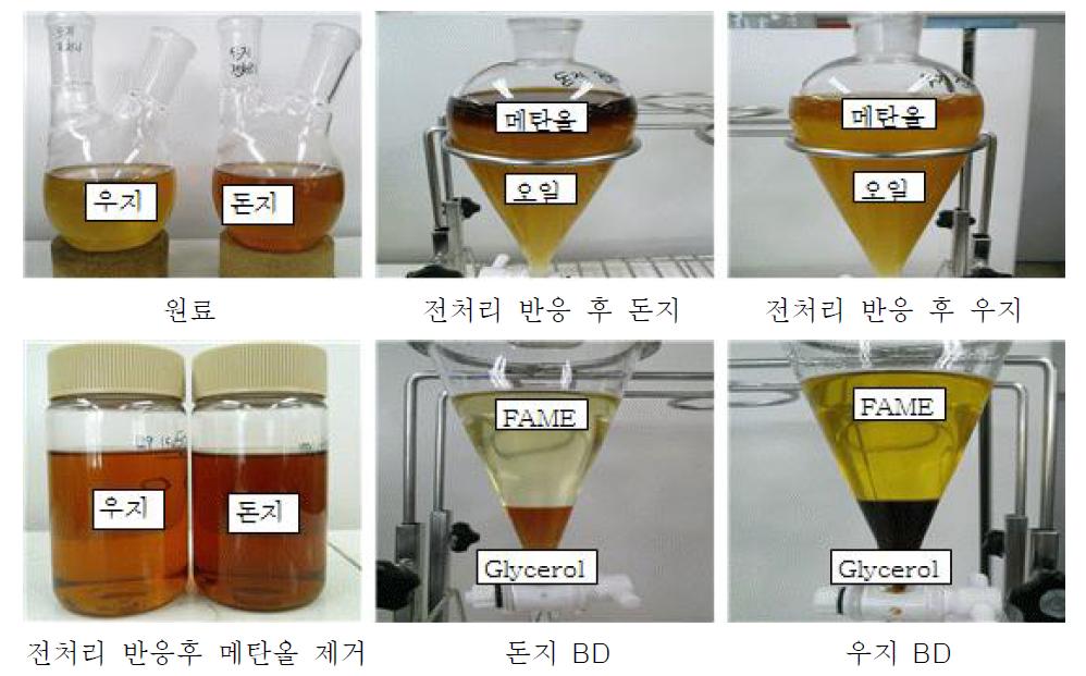 전이에스테르화 반응 후 원료 및 분리 사진