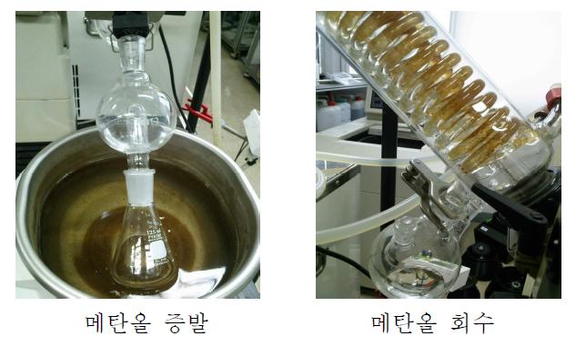 메탄올 회수를 위한 Rotary evaporator 장치