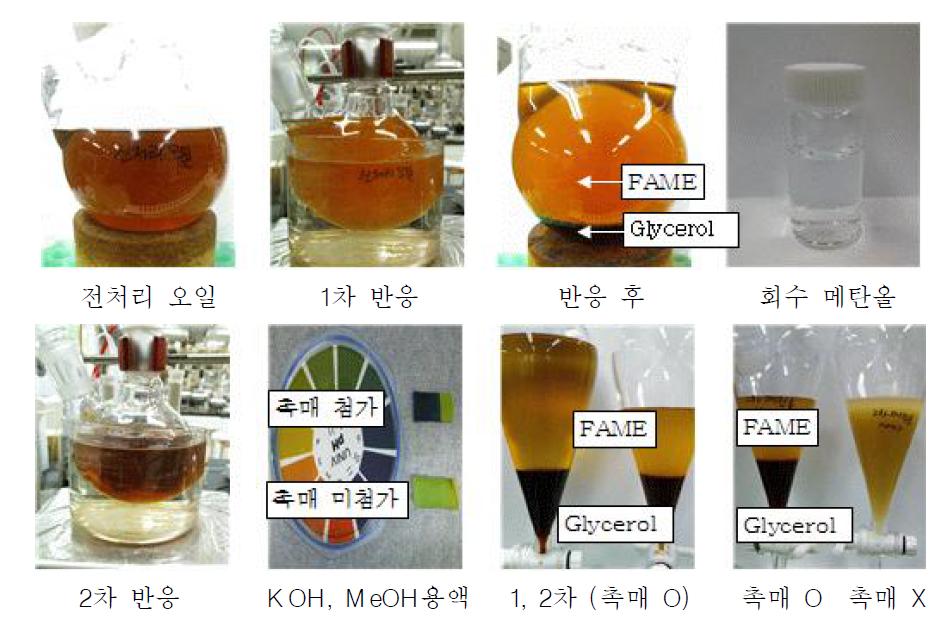 메탄올 회수 장치 및 전이에스테르화 반응