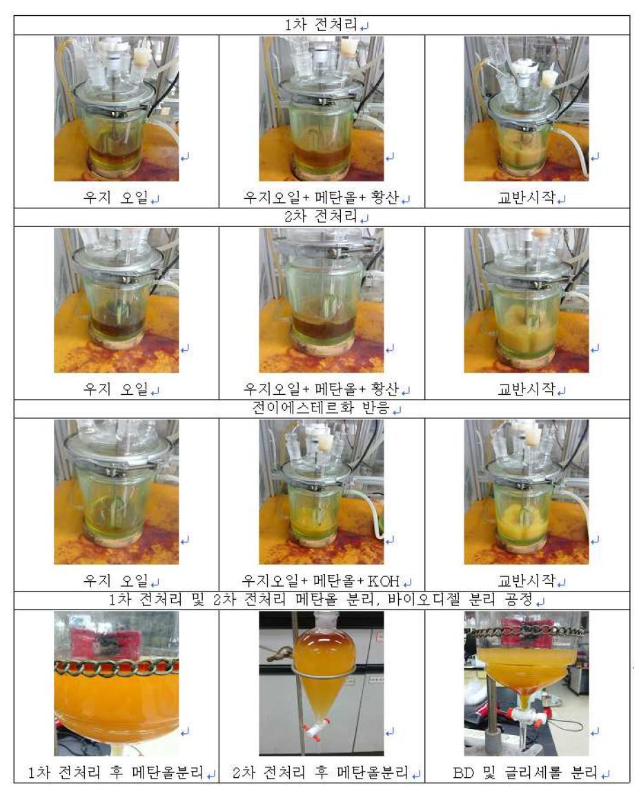 2L 반응기 이용 우지 바이오디젤 생산 예비 실험 결과