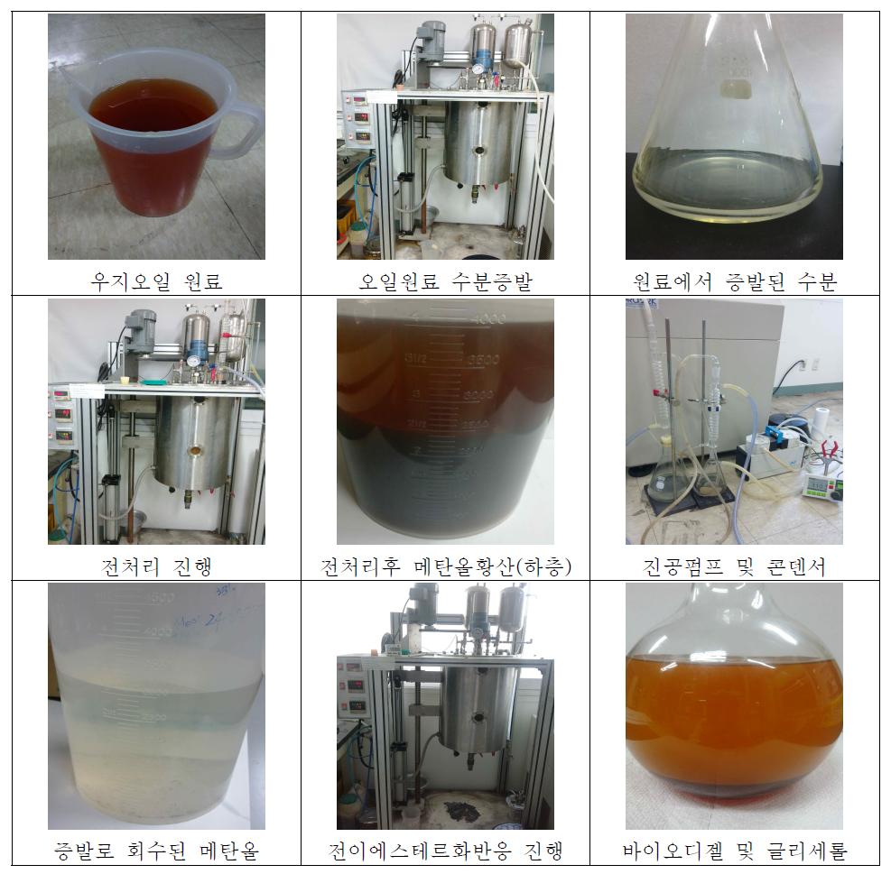 우지 오일 50L급 회분식 반응기 스케일업 바이오디젤 생산(세정 전)