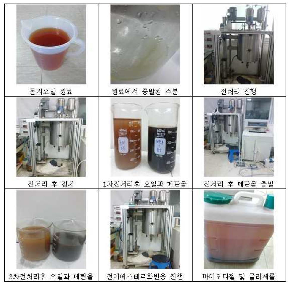 돈지 오일 50L급 회분식 반응기 스케일업 바이오디젤 생산(세정 전)