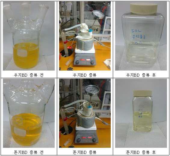 돈지 우지 바이오디젤의 증류 공정 전후 색도 변화