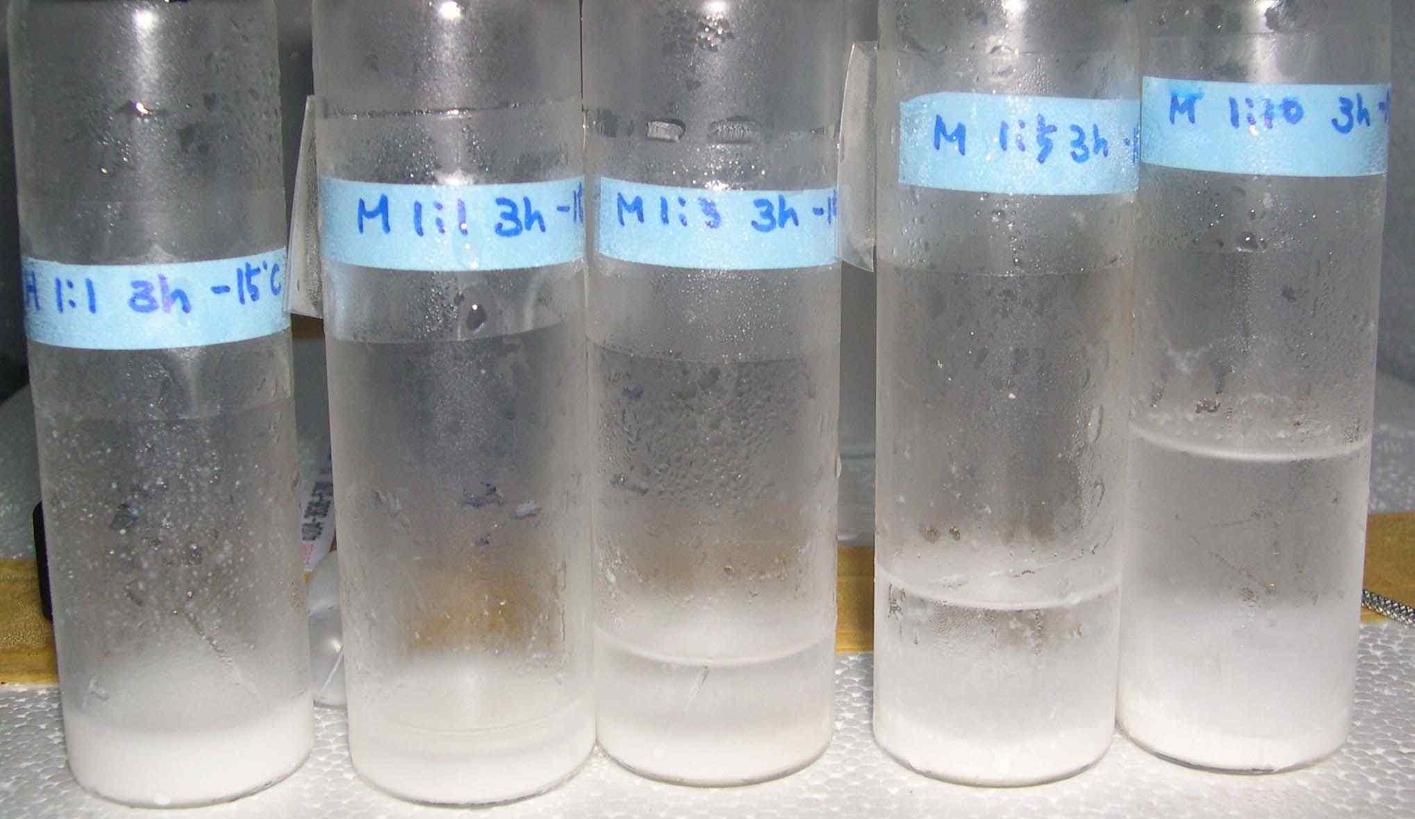 Methanol을 이용한 분별수행