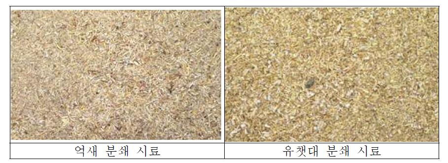 목질계 펠릿 제조를 위한 시료 분쇄 사진