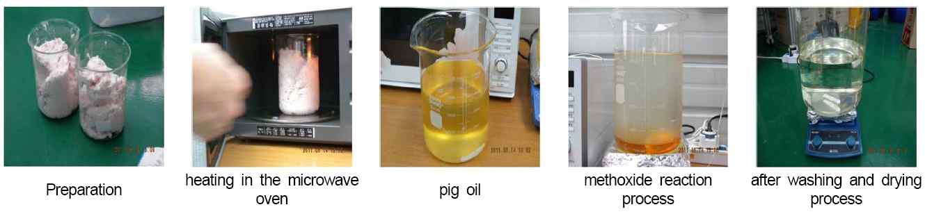 Manufacturing processes for pig fats biodiesel