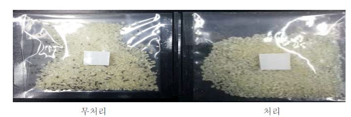 그림13. 기피물질처리한 쌀포장지(오른쪽)와 무처리 쌀포장지(왼쪽)의 어리쌀바구미 성충의 침입 비교