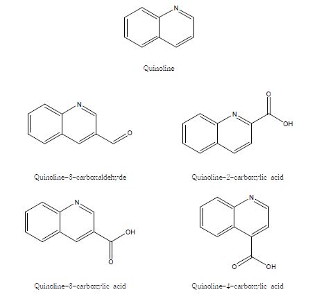그림 11. Quinoline-4-carboxaldehyde의 유사 화합물