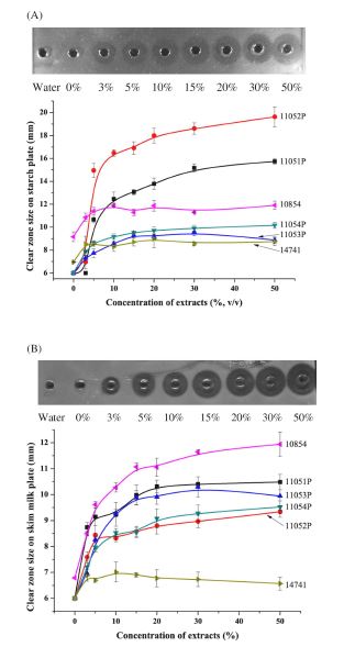 Fig. 2-3. Amylase (A) and protease (B) activity of B. subtilis and B. licheniformis cultured on FRVSB extract containing medium