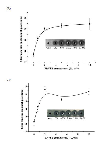 Fig. 3-2. Clear zone on skim milk (A) and starch (B) plate for FRVSB extract-supplemented doenjang