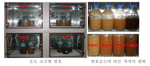 그림 6. 찰옥수수대 발효물 함유 솔비톨(Sorbitol) 및 자일리톨(Xylitol) 제조 공정