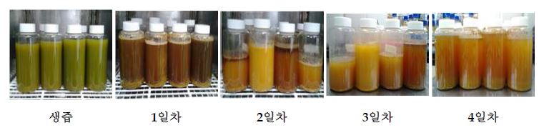 그림 8. 찰옥수수대 착즙액 발효당 제조 조건