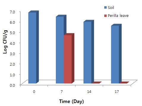 그림 10. 토양과 들깻잎에서 E. coli의 오염도 비교