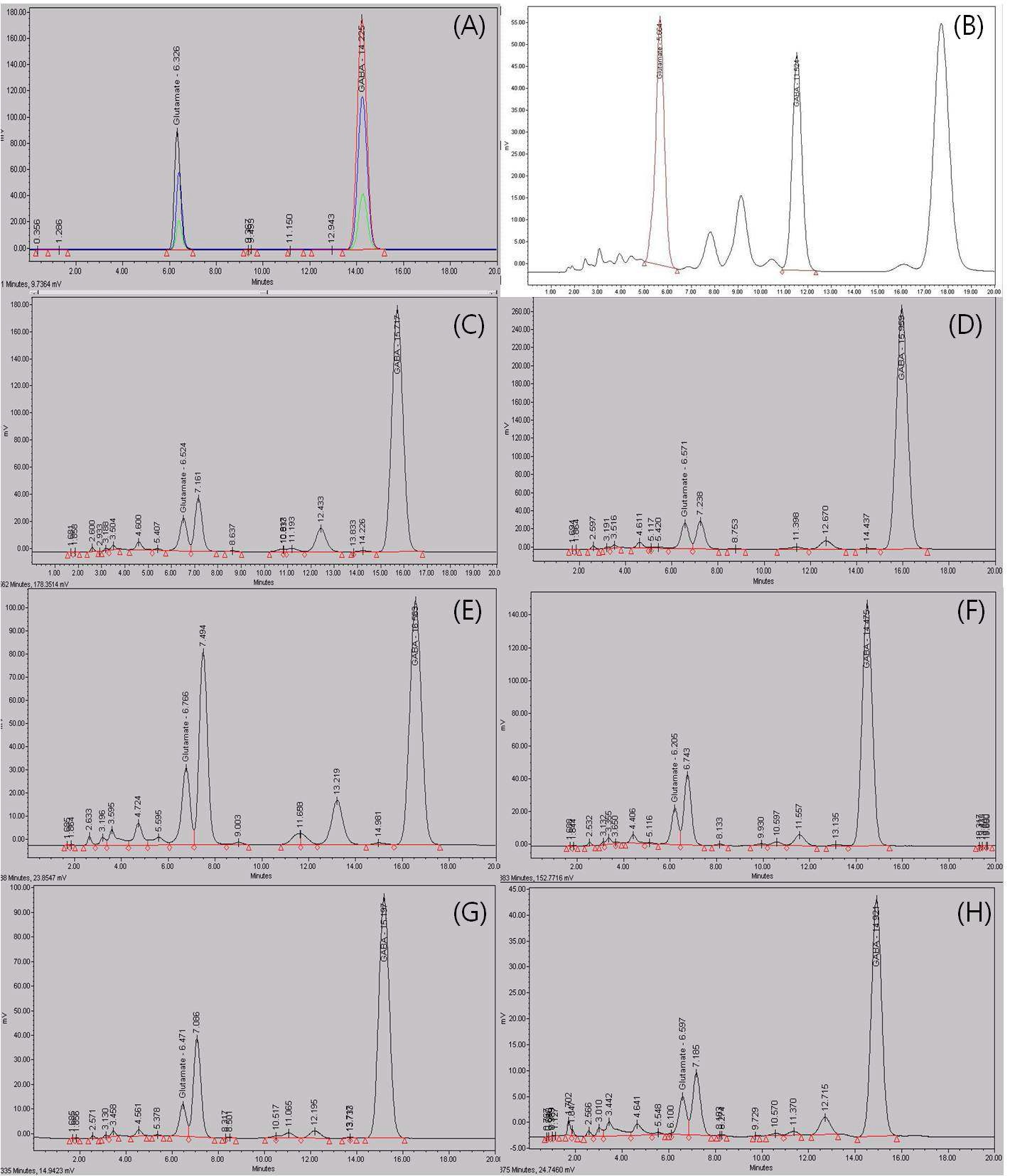 그림 1. HPLC를 이용한 GABA 생성균주의 정량분석