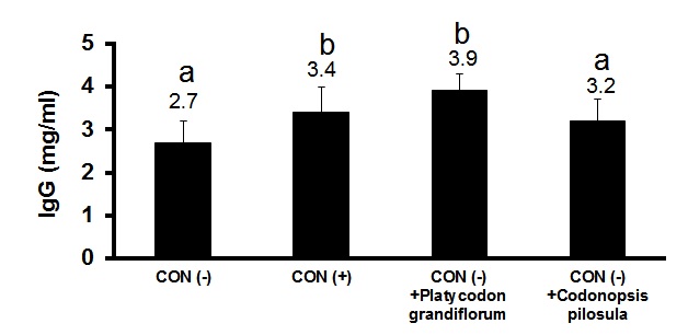 그림 4. 자돈에 Platycodon grandiflorum 21일간 급여후의 IgG의 농도.