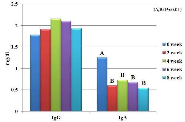 후보돈의 순치 기간에 따른 혈중 IgG 및 IgA 함량