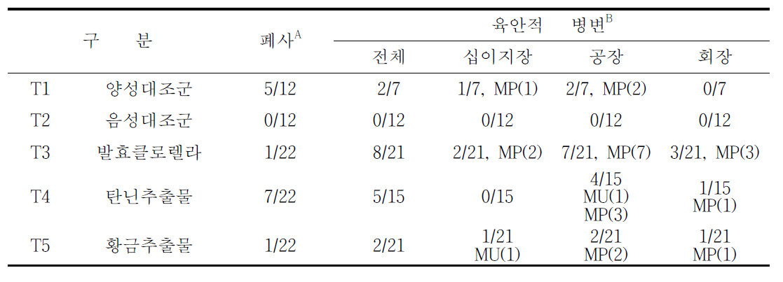 발효클로렐라 및 탄닌 첨가에 의한 육계의 병변 소견