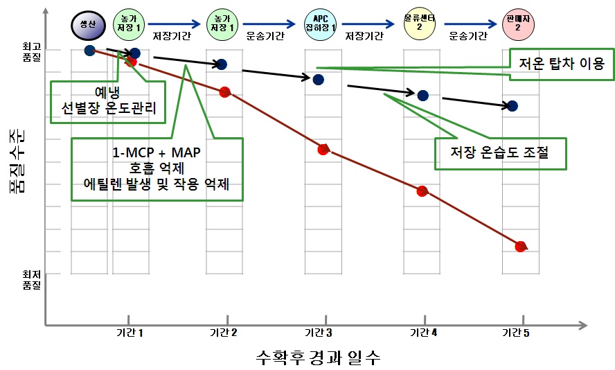 그림 1. 사과 수확후 유통 중 손실 경감을 위한 모식도