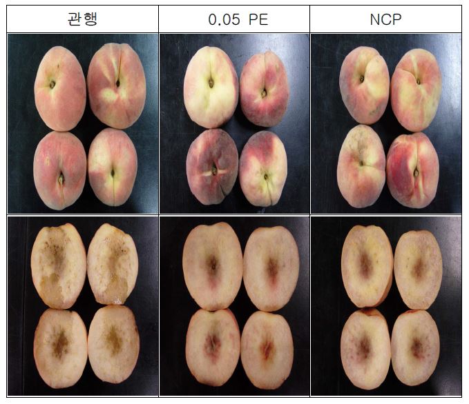 그림 41. 복숭아 포장재별 저온 저장 30일 후의 내외부 품질 양상