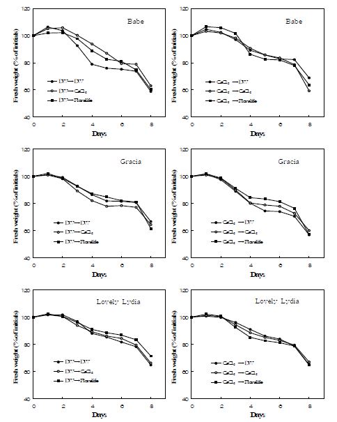 그림 68. ‘Babe’, ‘Grace’, ‘Lovely Lydia’ 장미의 수송전처리후 습식수송용액에 따른 생체중 변화