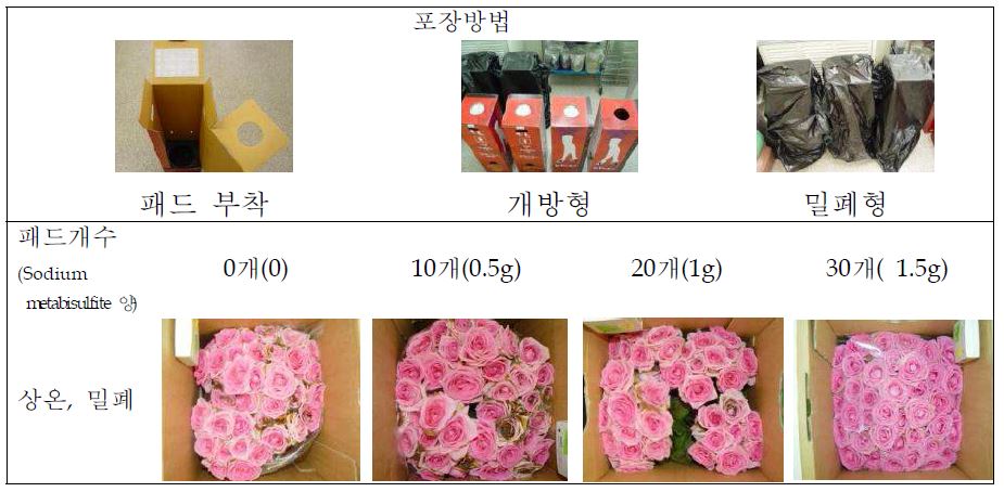 그림 74. 유황패드가 장미 잿빛곰팡이병 발생억제 효과