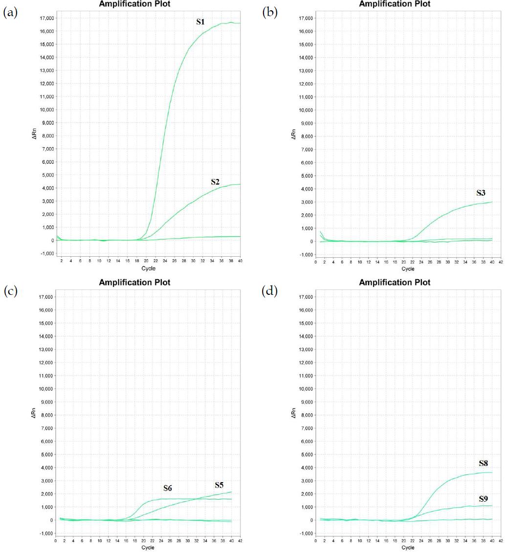 혼합 식중독균 대상 Real-time PCR 키트 검출능 확인