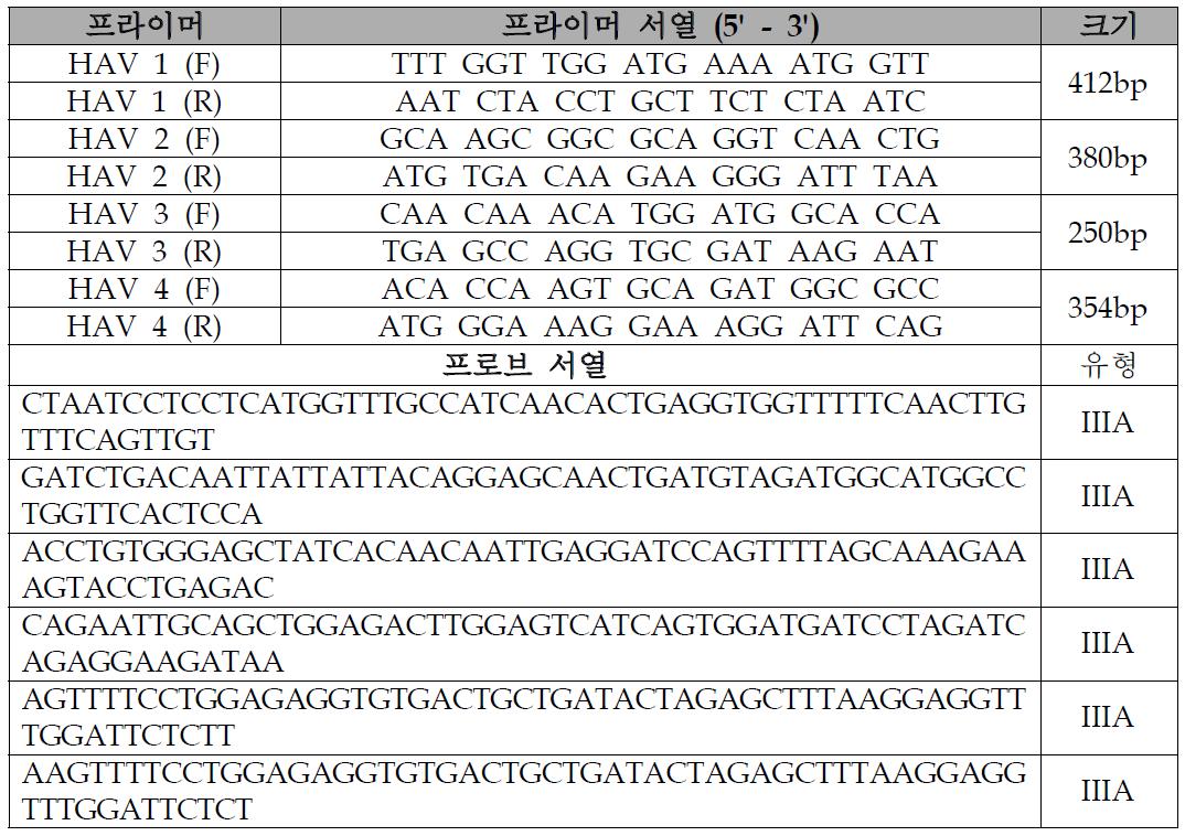 HAV바이러스 유전자형을 검출하는 개선된 프라이머 및 프로브 제작