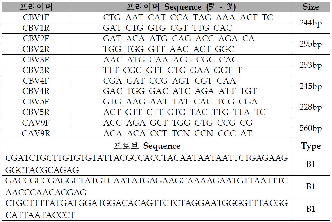 콕사키바이러스 유전자형을 검출하는 개선된 프라이머 및 프로브 제작