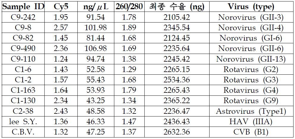 증폭된 임상시료와 환경시료의 라벨링 효율 결과