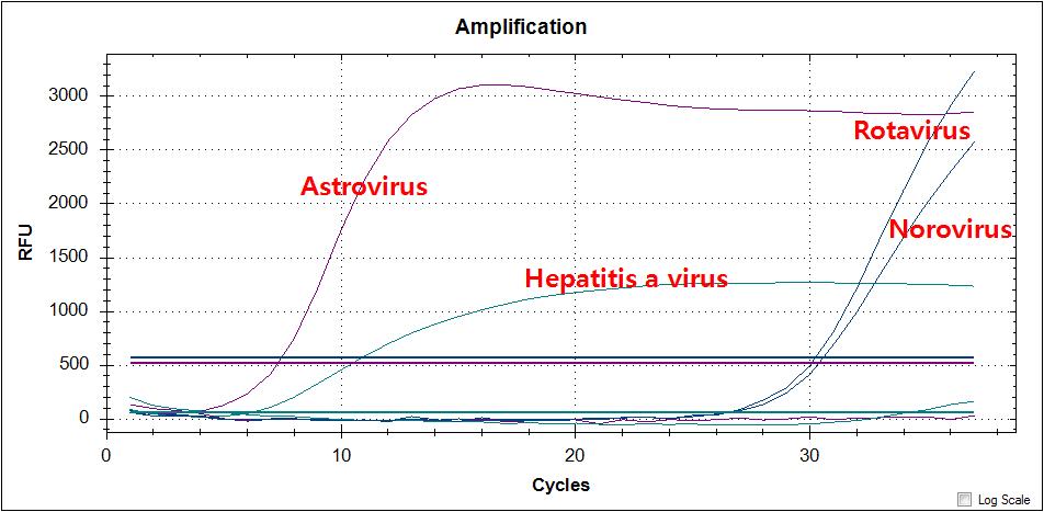 4종의 바이러스를 동시 검출하는 Multiplex Real-time PCR 결과