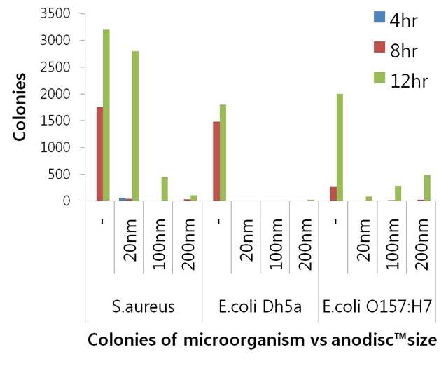 미세다공성 구조의 크기에 따른 미생물들의 결합 및 생육 결과를 나타낸 그래프