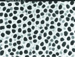 본 실험에서 나노사이즈의 미세다공성 구조의 표면을 갖는 물질로 사용한 AAO membrane의 주사전자현미경(SEM) 이미지