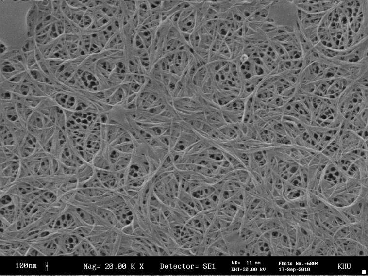 Amlyosucrase 효소를 이용한 SWNT-Amylose 복합체 합성 반응 1시간 후의 결과를 주사전자현미경 (SEM) 으로 관찰한 사진