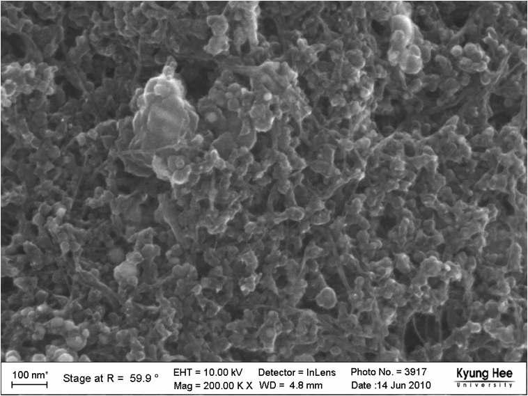 아크방전을 통해 만들어진 탄소나노튜브를 주사전자현미경으로 관찰한 사진