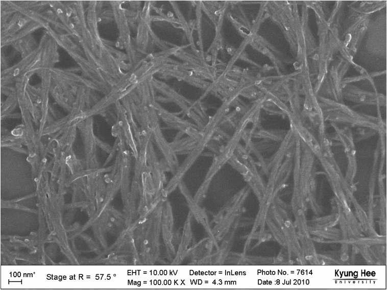 정제과정을 거쳐 분리된 탄소나노튜브를 주사전자현미경으로 관찰한 사진