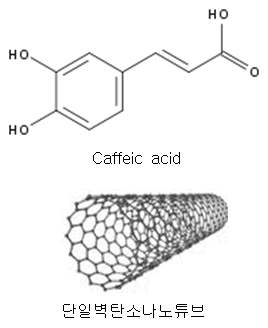 Caffeic acid의 화학구조와 단일벽탄소나노튜브의 3차원 모식도