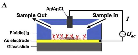 HA 기반의 immunosensor 칩 및 칩을 탑재한 fluidic jig의 모식도와 전기적 신호 검출 시스템