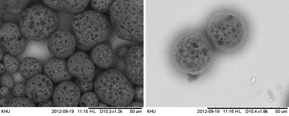 표면이 다공성 특징을 가지는 PLGA 마이크로 입자를 주사전자현미경으로 관찰한 이미지