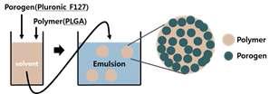 Porous PLGA 마이크로 입자 형성과정을 나타낸 모식도