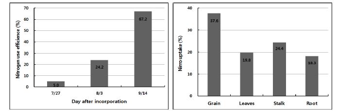 Fig. 1-7. Nitrogen efficiency released from sorghum residue by Using Stable 15N.