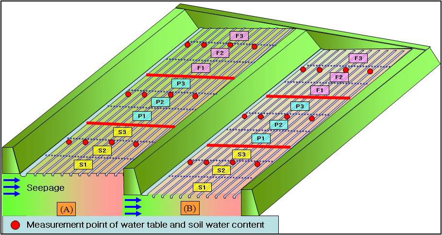 Fig. 3-1. Schematic layout of experimental field