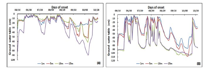 Fig. 3-3. Ground water level fluctuations in different drainage field.