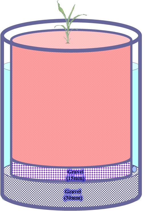 Fig. 3-8. Schematic design of mariotte pot to crop susceptibility (CS) factor.