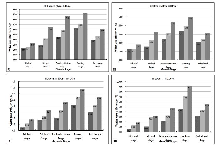 Fig. 3-12. Percent of water use efficiency affected by different GWT during the growing season