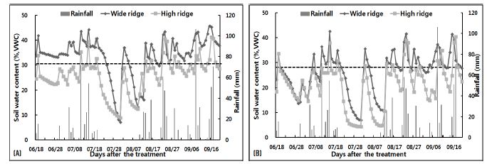 Fig. 3-14. Changes of soil water content by different cultivation method in paddy field