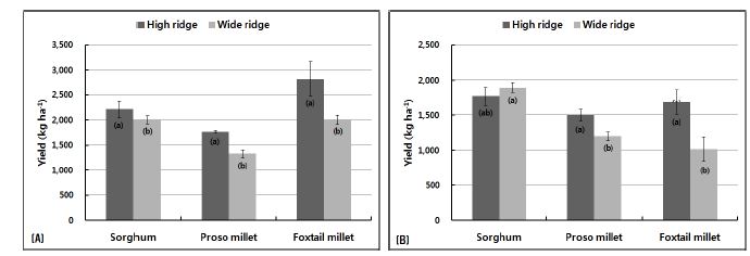 Fig. 3-15. Comparison on yield of sorghum, proso millet and foxtail millet by different cultivation method in paddy field