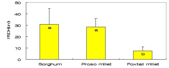 Fig. 4-8. First damage point on the stem of cereal crops by Asian corn borer