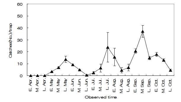 Fig. 4-14. Seasonal occurrence of corn earworm, Helicoverpa armigera Hubner monitored using sex pheromone funnel trap in Milyang from 2010 to 2012