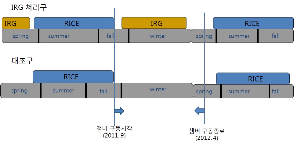 그림2-1. 처리구(IRG)와 대조구(Control) 벼, IRG 식재 비교 및 챔버 구동 시기